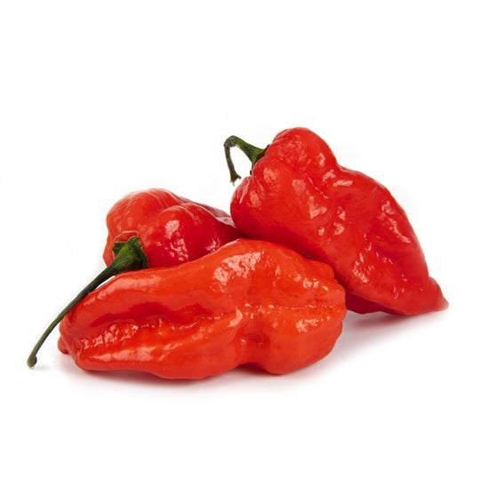 Chillies – Wealmoor® Staff Shop